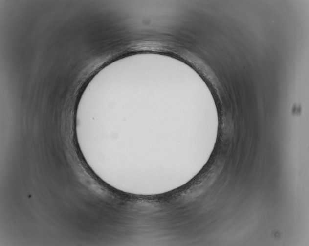 X0000101410529200808041106