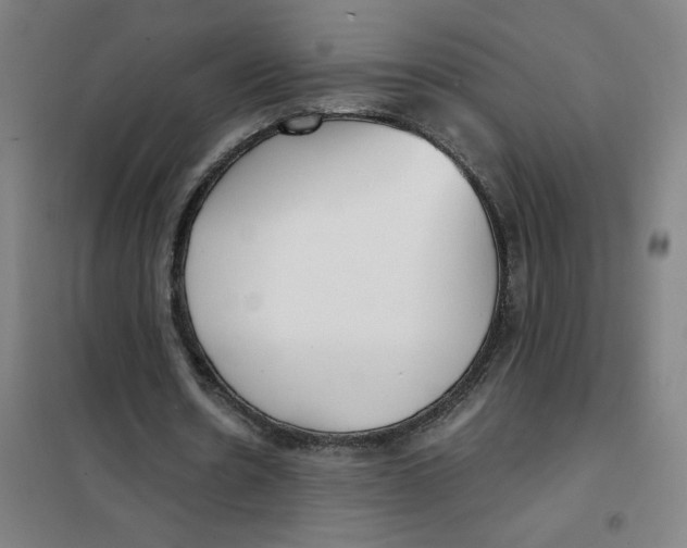 X0000101410530200808041107