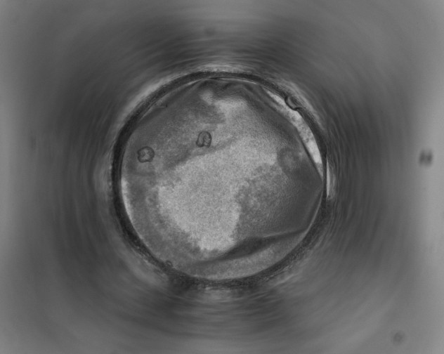 X0000101410531200808041107