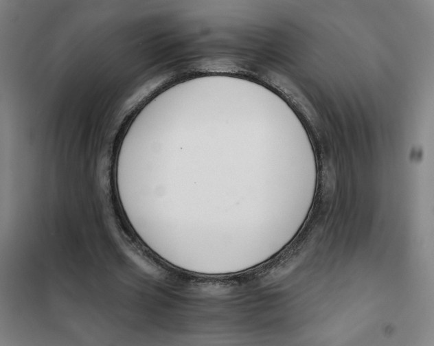 X0000101410533200808041107