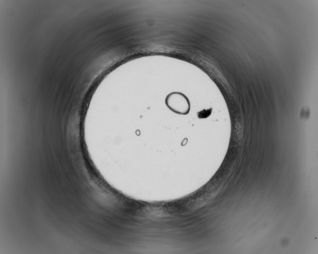 X0000101410534200808041107
