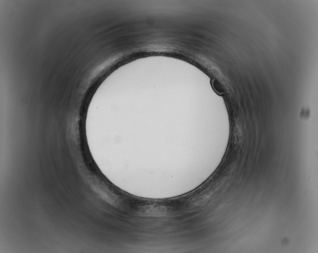 X0000101410535200808041107