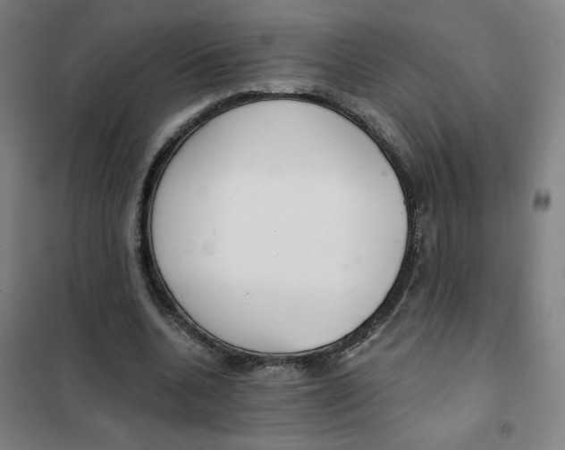 X0000101410536200808041107