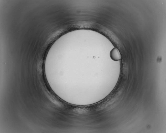 X0000101410537200808041107