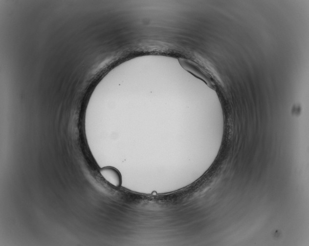X0000101410538200808041107