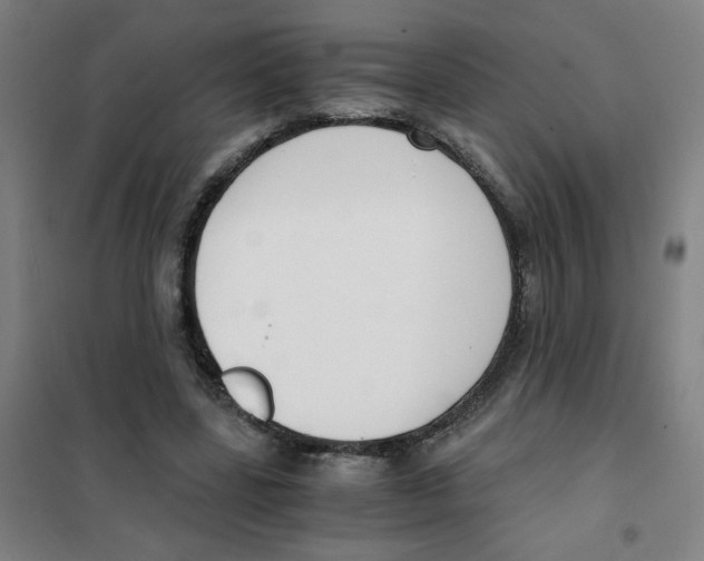 X0000101410539200808041107