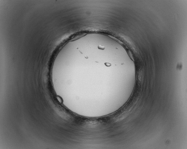 X0000101410540200808041107