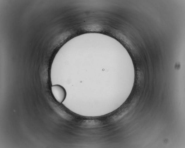 X0000101410541200808041107