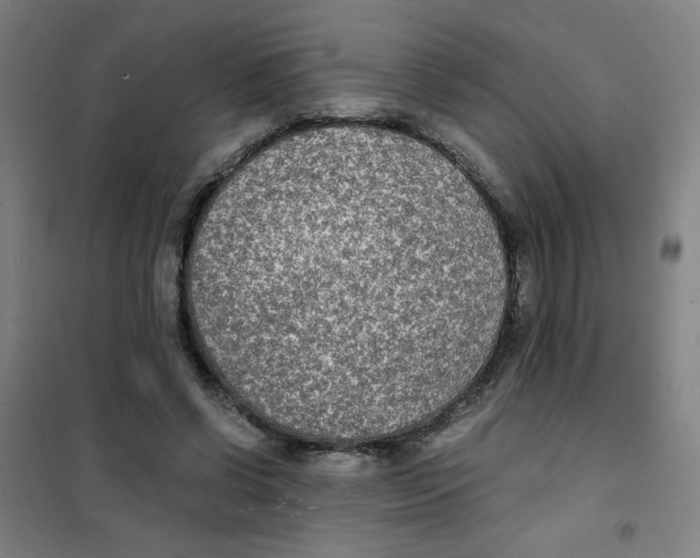 X0000101410542200808041107