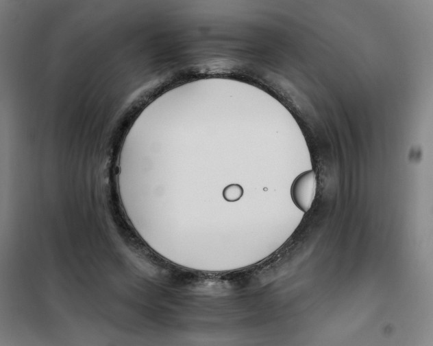 X0000101410543200808041107