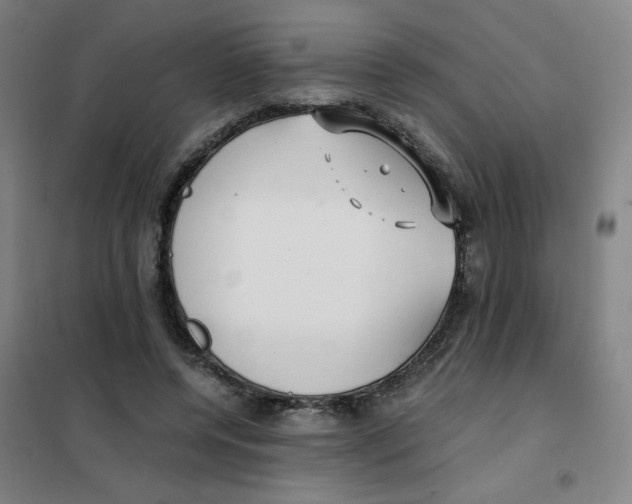 X0000101410544200808041107
