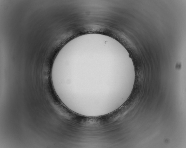 X0000101410546200808041107