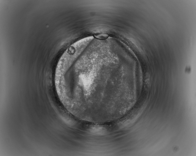 X0000101410547200808041107