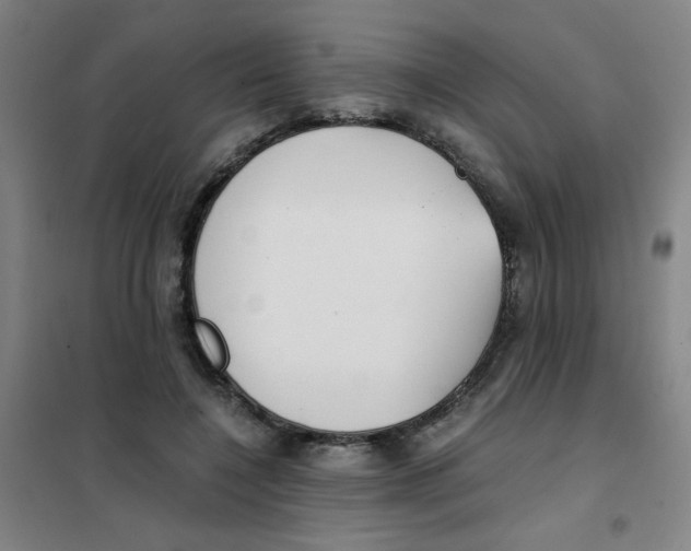 X0000101410548200808041107
