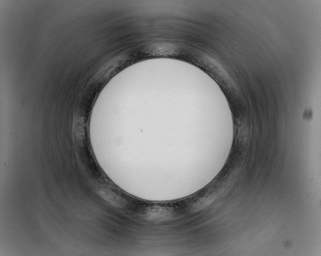 X0000101410549200808041107