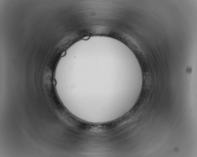 X0000101410550200808041107