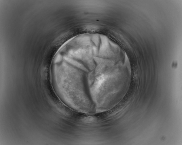 X0000101410551200808041107