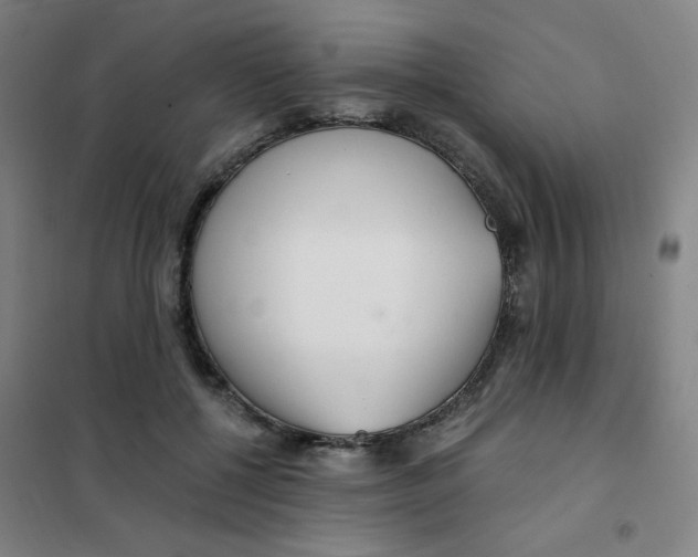 X0000101410552200808041107