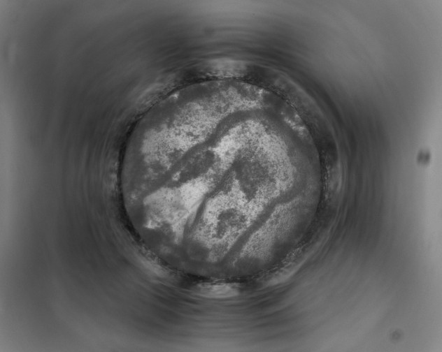 X0000101410553200808041107