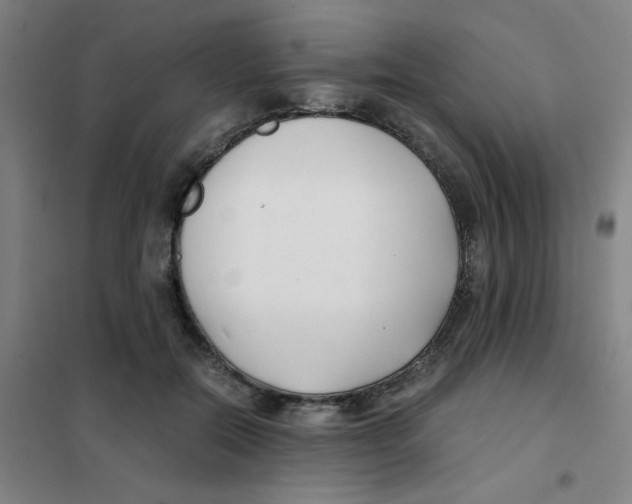 X0000101410554200808041107