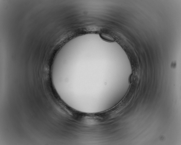 X0000101410556200808041107