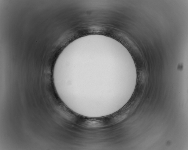 X0000101410557200808041107
