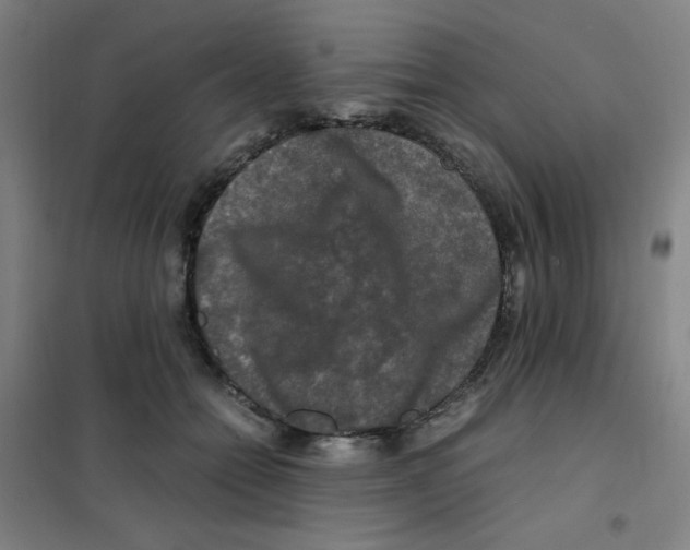 X0000101410558200808041107