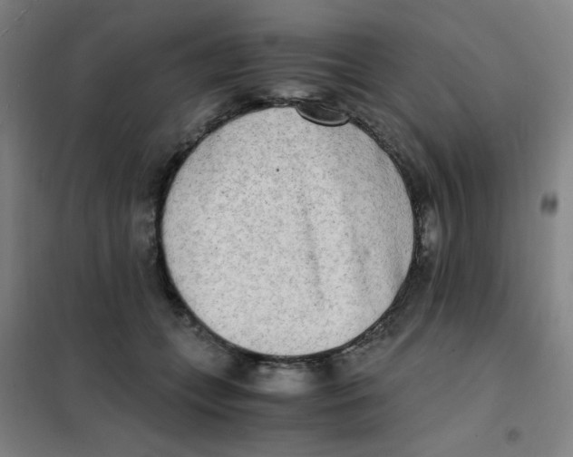 X0000101410559200808041107