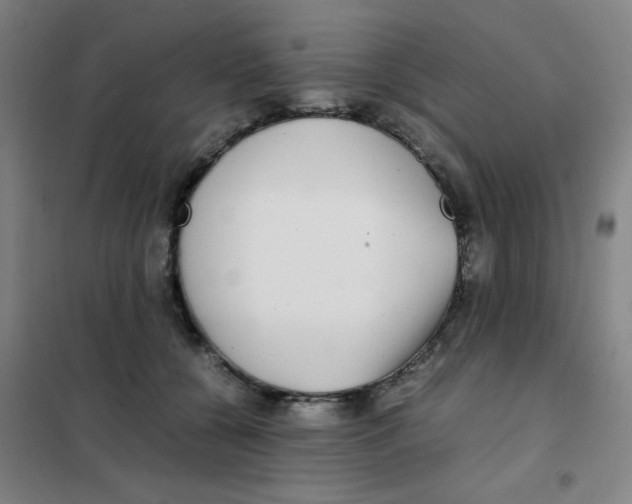 X0000101410560200808041107