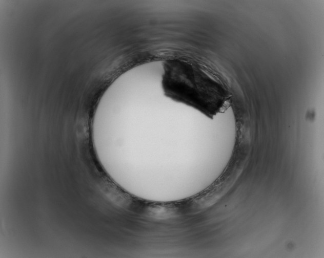 X0000101410561200808041107