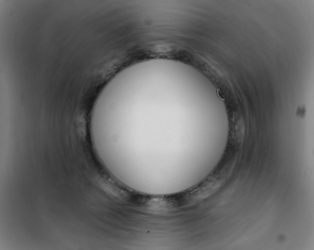 X0000101410562200808041107