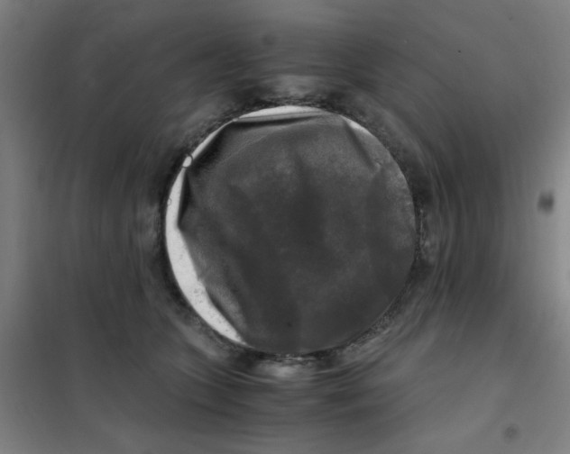 X0000101410563200808041107