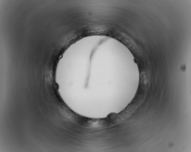 X0000101410564200808041107