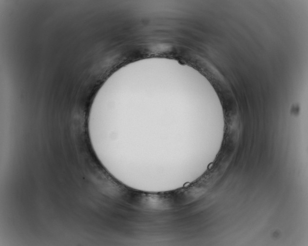 X0000101410565200808041107
