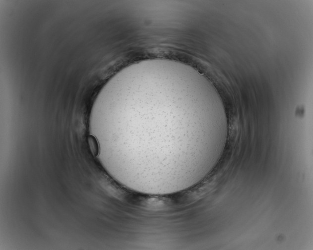 X0000101410566200808041107