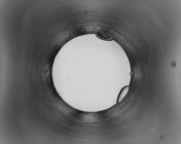 X0000101410567200808041107