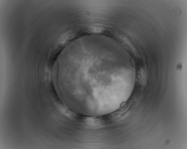 X0000101410568200808041107