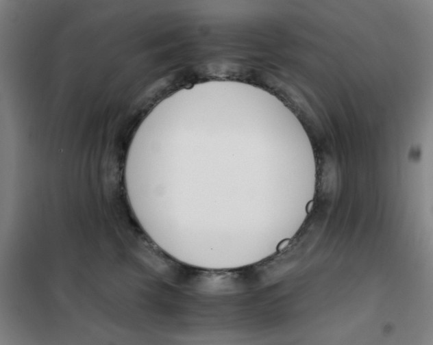 X0000101410569200808041107