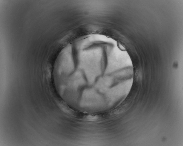 X0000101410570200808041107