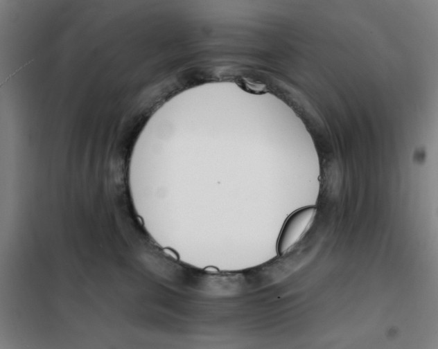 X0000101410571200808041107