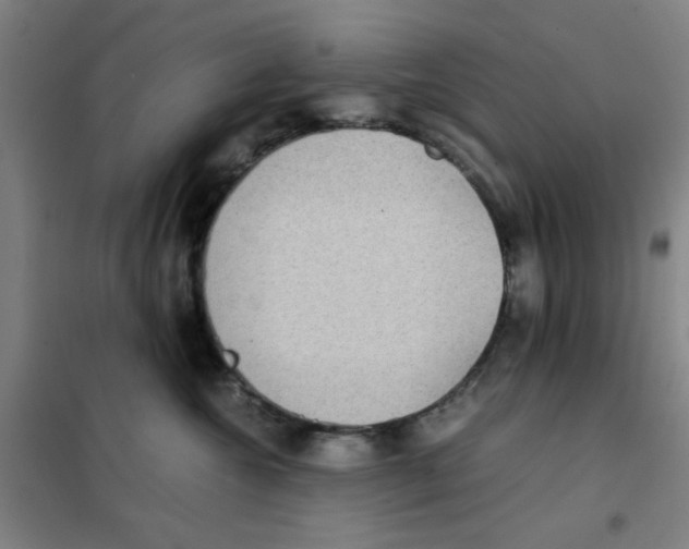 X0000101410572200808041107