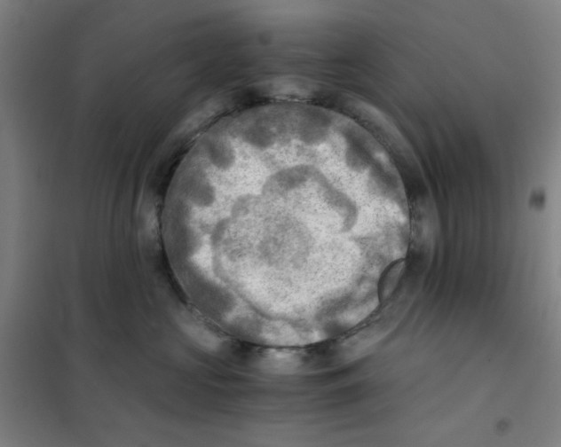 X0000101410573200808041107