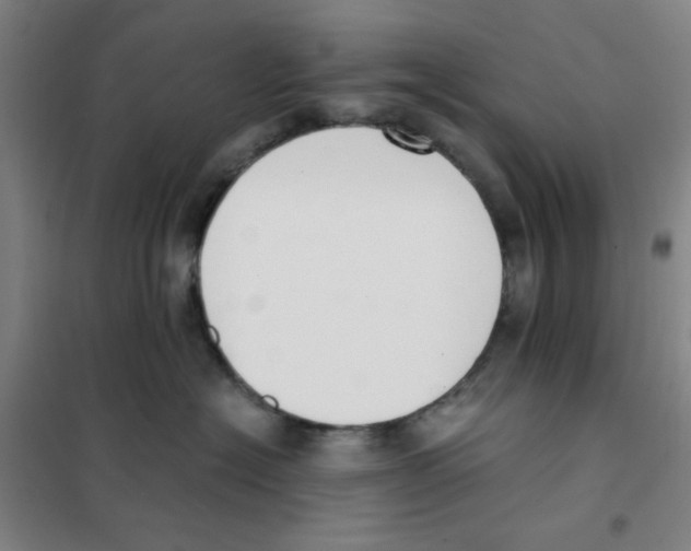 X0000101410574200808041107