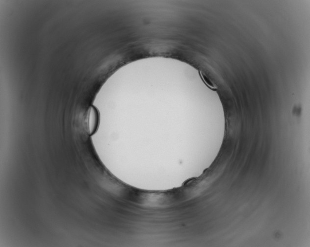 X0000101410575200808041107