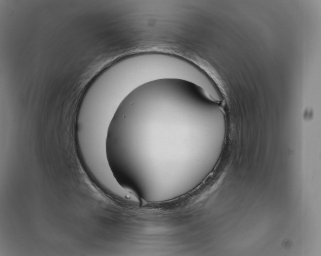 X0000101410577200808041106