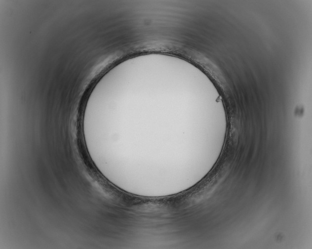 X0000101410578200808041106