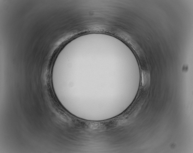 X0000101410579200808041106