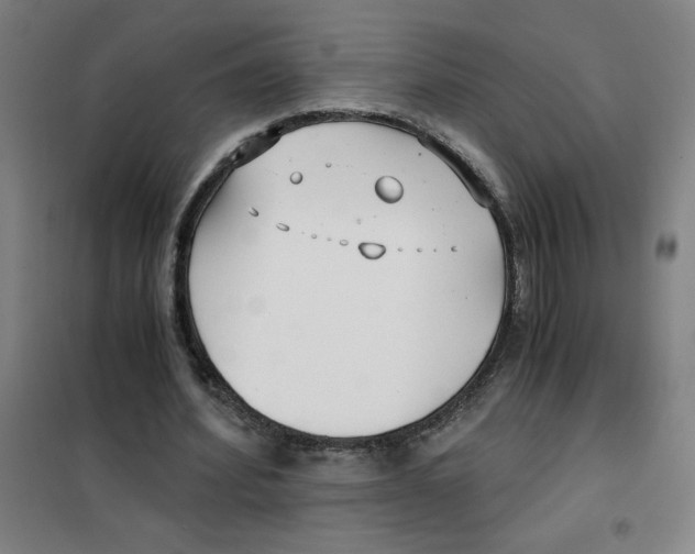 X0000101410580200808041106