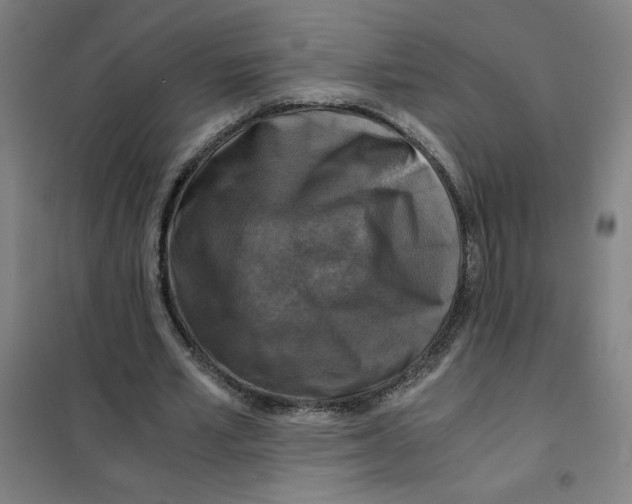 X0000101410581200808041106