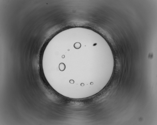 X0000101410582200808041106